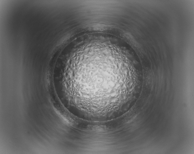 X0000071940683200607141433