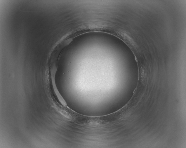 X0000071940684200607141433