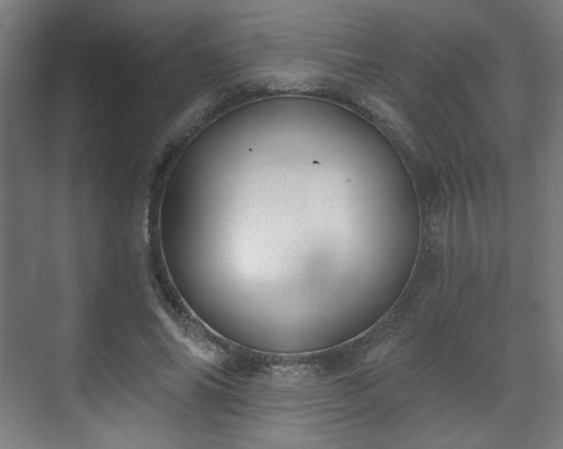X0000071940686200607141433