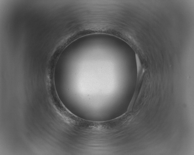 X0000071940688200607141433