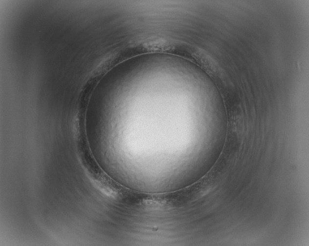 X0000071940690200607141433