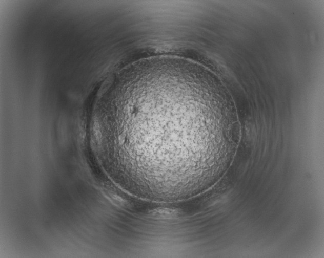 X0000071940691200607141433