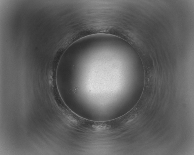 X0000071940693200607141433