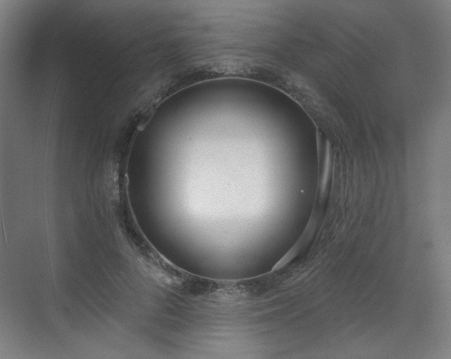 X0000071940696200607141433