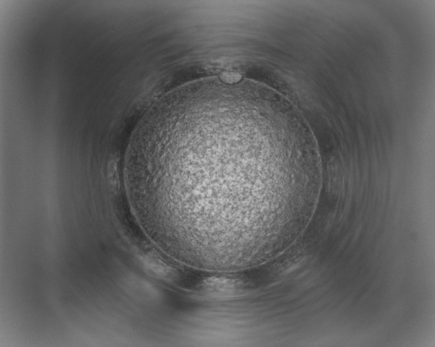 X0000071940699200607141433