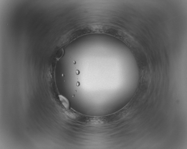 X0000071940702200607141433