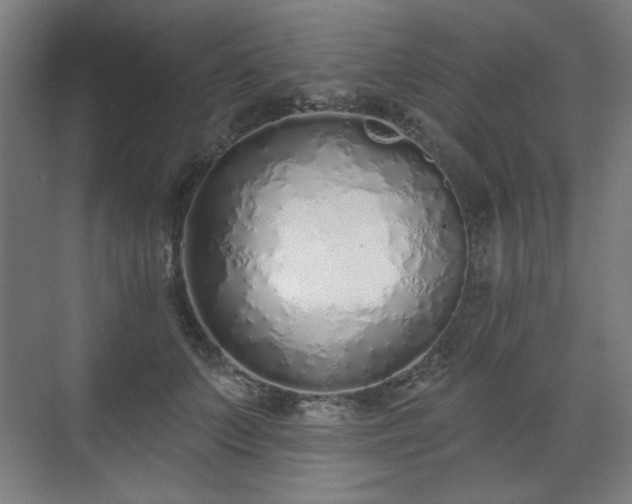 X0000071940703200607141433
