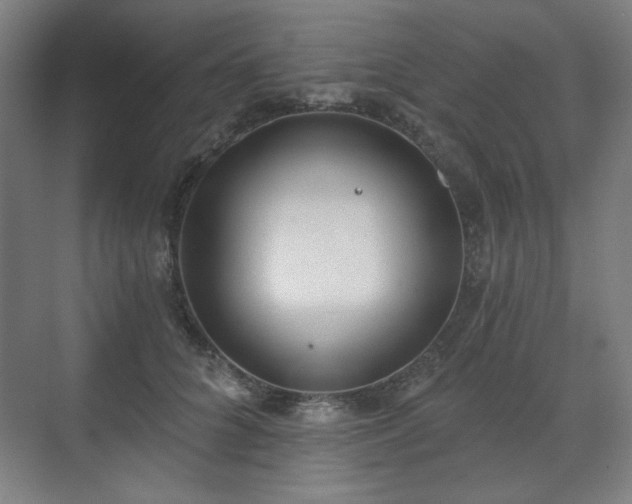 X0000071940704200607141433