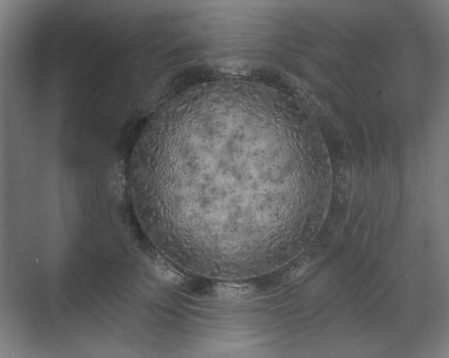 X0000071940707200607141433