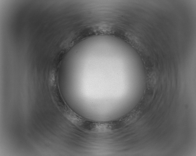 X0000071940709200607141433
