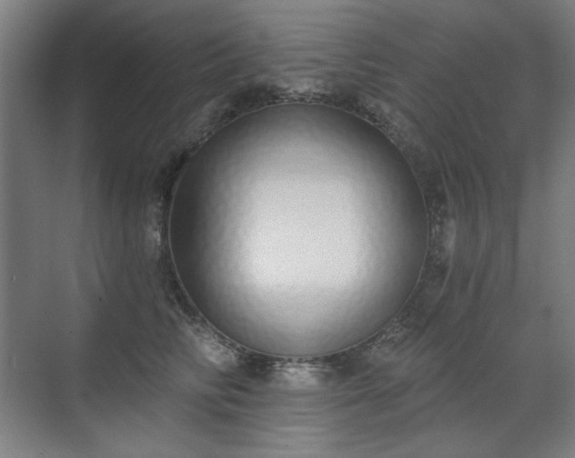 X0000071940710200607141433