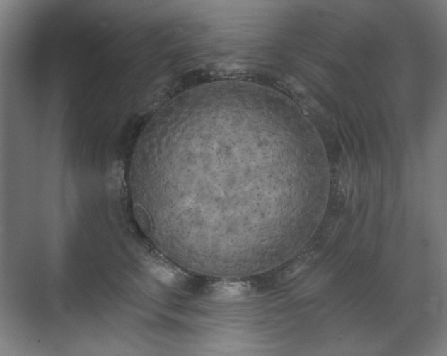X0000071940711200607141433