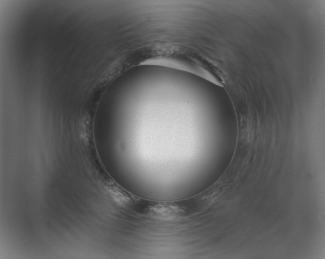 X0000071940712200607141433