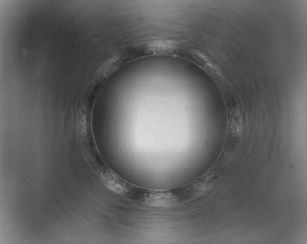X0000071940716200607141433