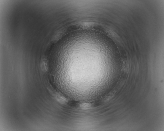 X0000071940718200607141433