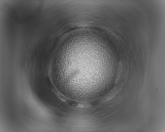 X0000071940720200607141433