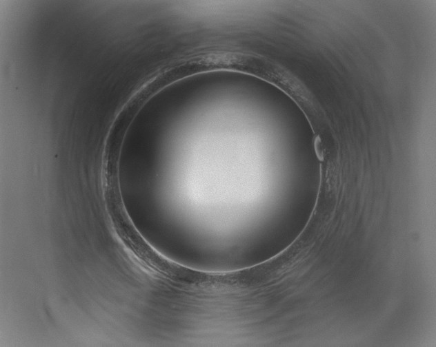 X0000071940722200607141432