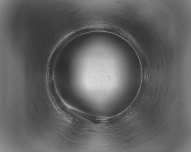X0000071940724200607141432