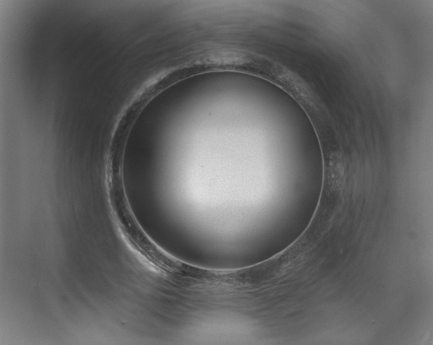 X0000071940726200607141432