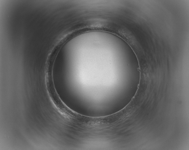 X0000071940728200607141432