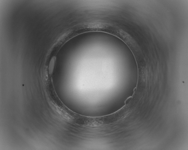 X0000071940731200607141432