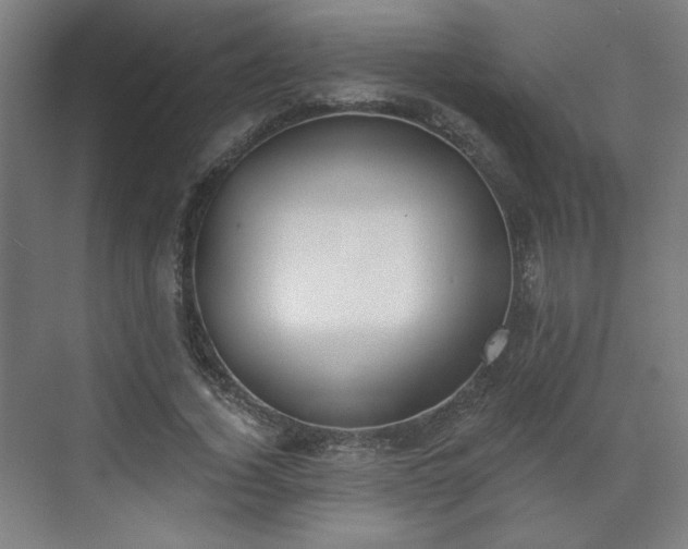 X0000071940732200607141432