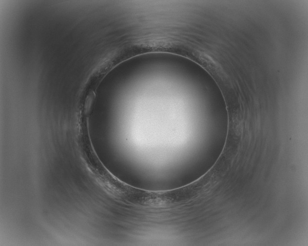 X0000071940735200607141432