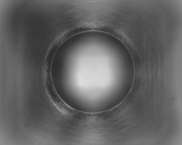X0000071940736200607141432