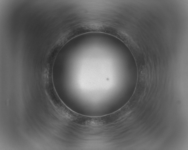X0000071940739200607141432