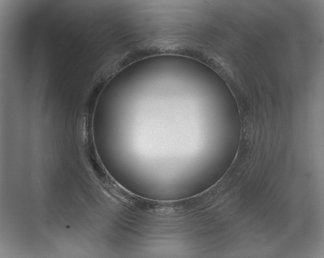 X0000071940740200607141432
