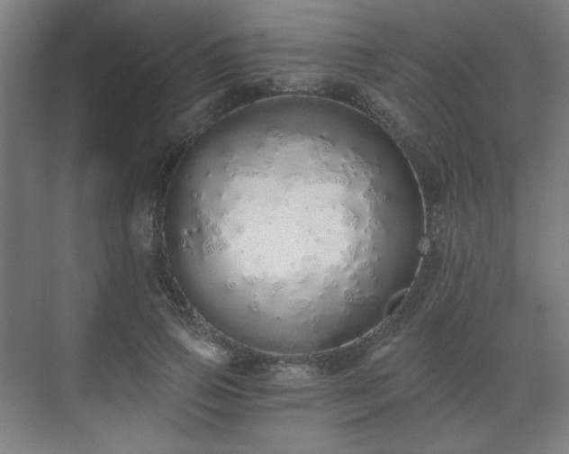 X0000071940741200607141432
