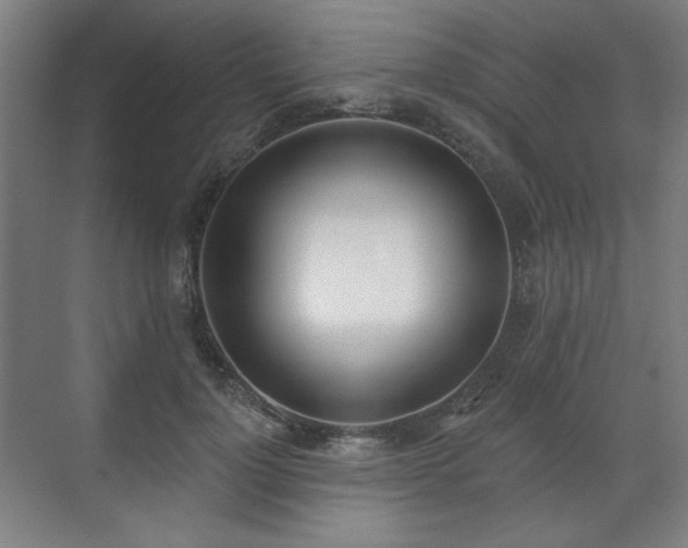 X0000071940748200607141432