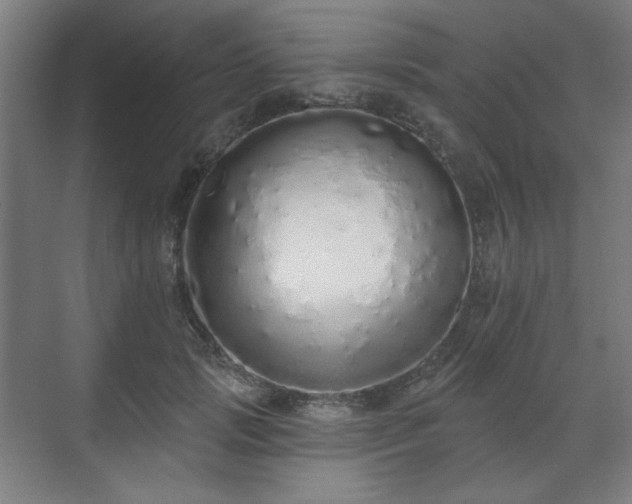 X0000071940749200607141432