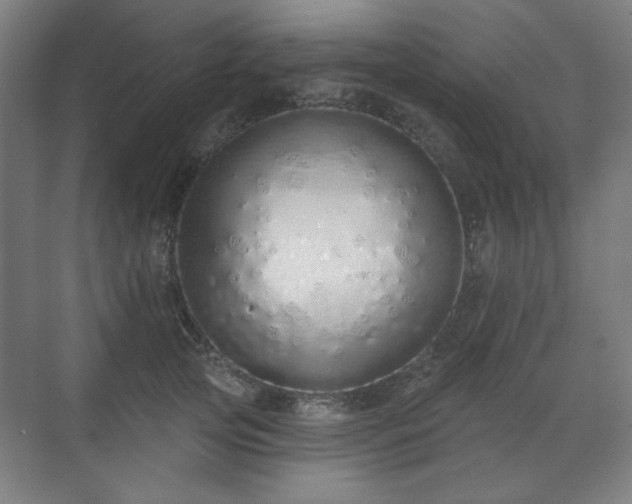 X0000071940753200607141433