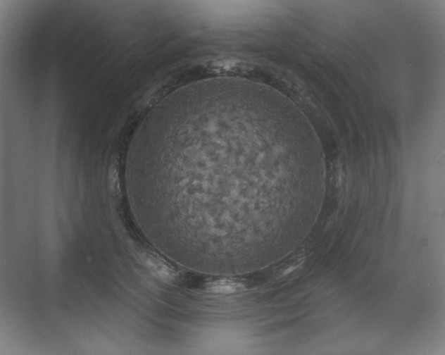 X0000071940754200607141433