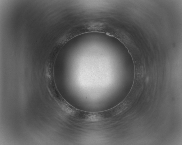 X0000071940755200607141433