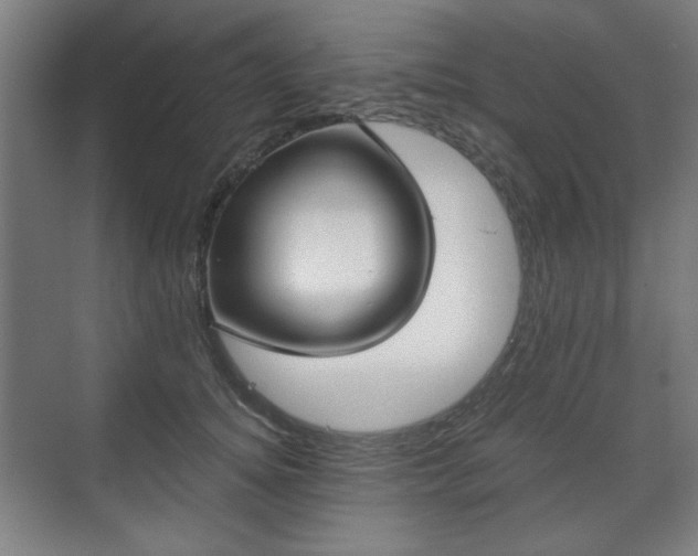 X0000071940756200607141433