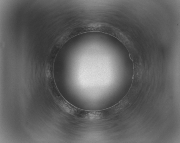 X0000071940758200607141433