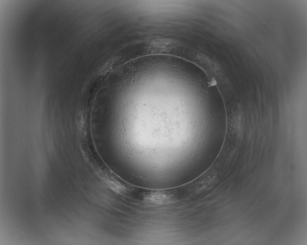 X0000071940759200607141433