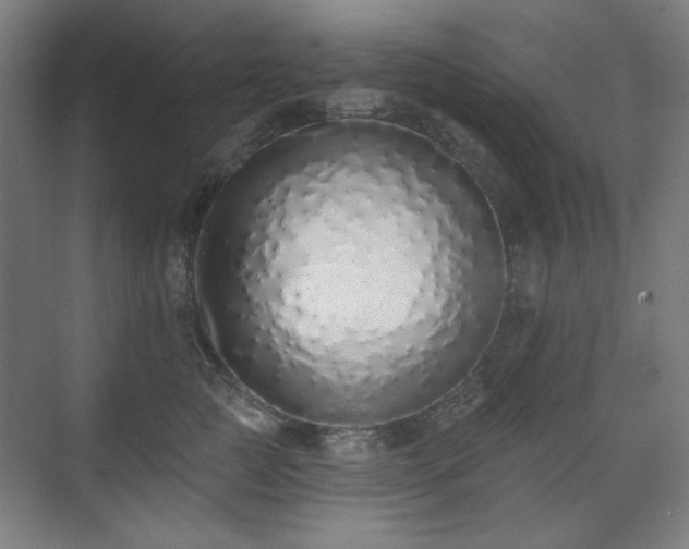 X0000071940761200607141433