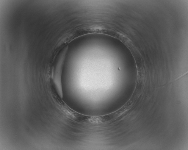 X0000071940762200607141433