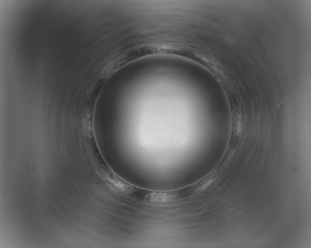 X0000071940766200607141433