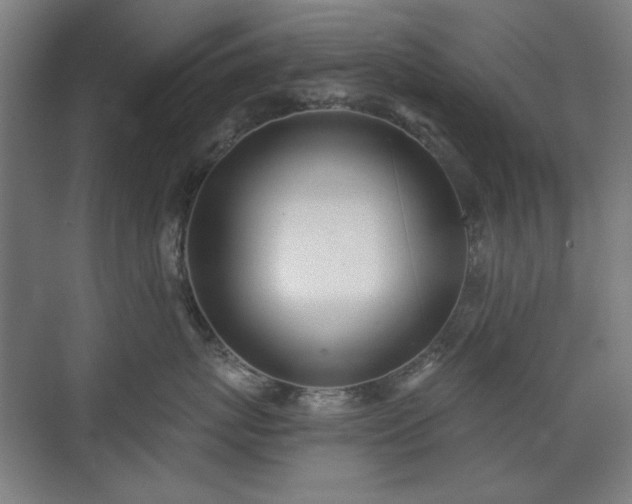 X0000071940767200607141433