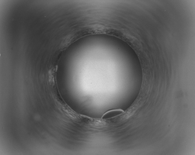 X0000071940768200607141433