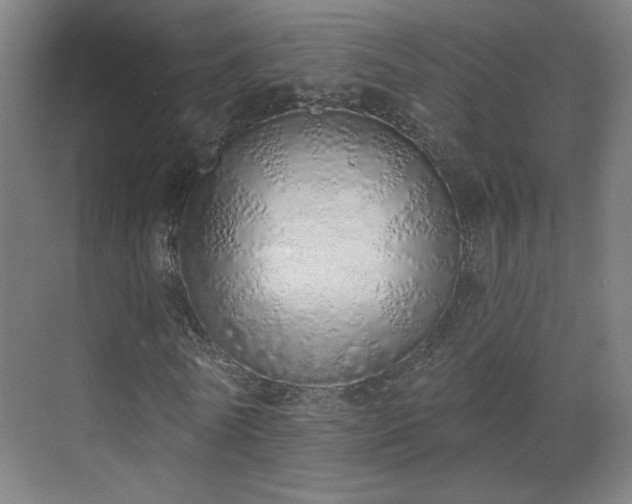 X0000071940770200607141432