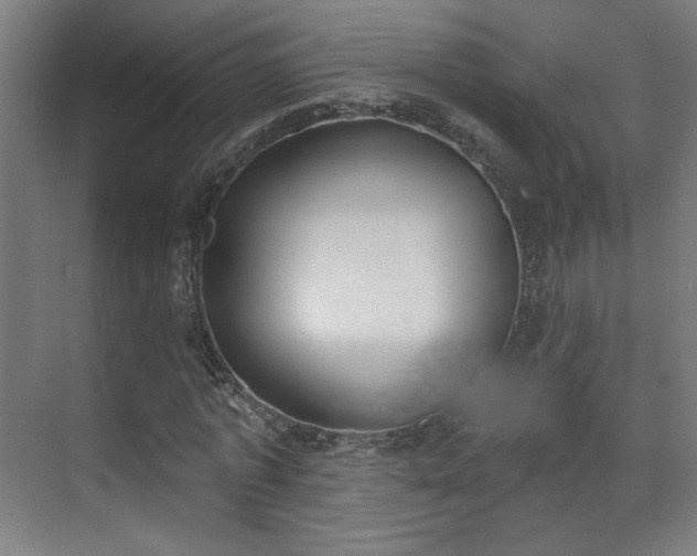 X0000071940773200607141432