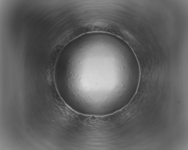 X0000071940774200607141432