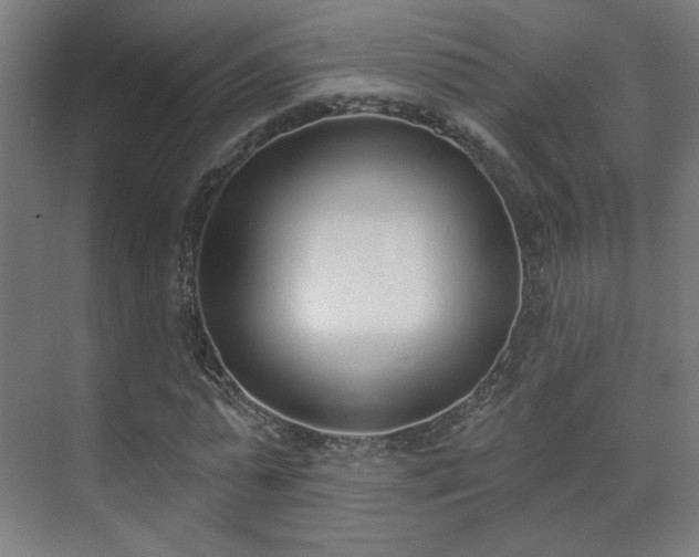 X0000071940775200607141432
