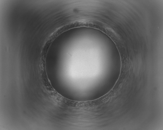 X0000071940776200607141432