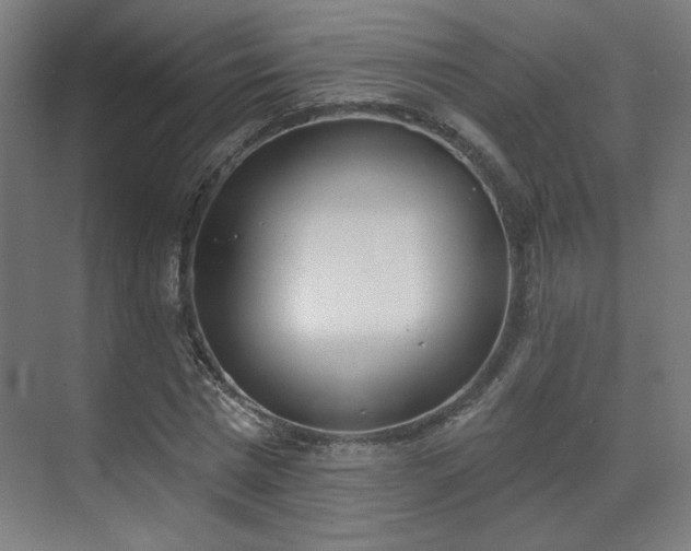 X0000071940777200607141432